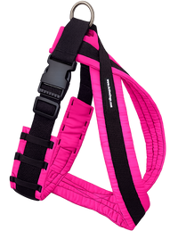 ActiveDogs harness for walking and training
