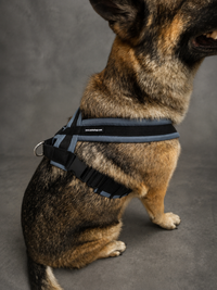 ActiveDogs adjustable no pull dog harness