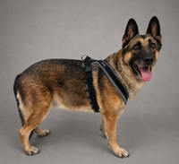 Comfortable no pull dog harness for walking
