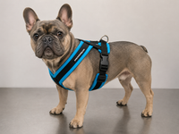 ActiveDogs no pull harness for training dogs