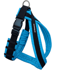 Comfortable dog harness for active dogs