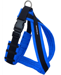 ActiveDogs padded harness for dog sports