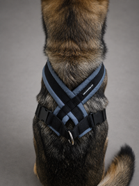 No pull dog harness with adjustable girth strap