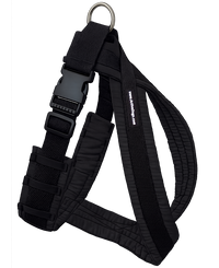 Padded dog harness designed to reduce neck strain