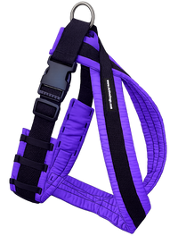 Padded dog walking harness with metal D-ring