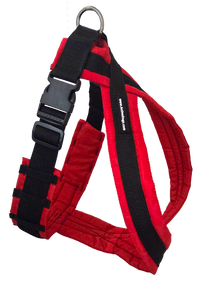 ActiveDogs nylon dog harness with fleece padding