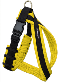 Durable nylon dog harness with soft padding