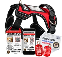 Service dog harness kit with ID card, QR tags, digital ID and ADA information cards