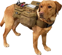 ActiveDogs heavy-duty tactical working dog vest