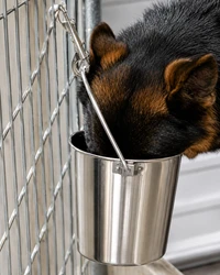 Dog crate water pail to help reduce spills