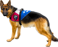 Patriotic Service Dog Mesh Vest