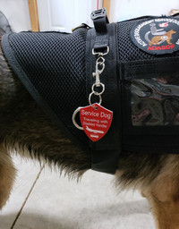 Double sided service dog tag