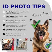 Service dog team identification badge