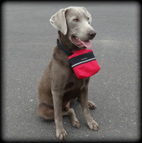 Dog Collar Storage Pouch