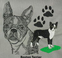 Boston Terrier