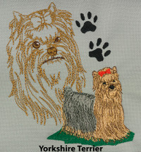 Yorkshire Terrier