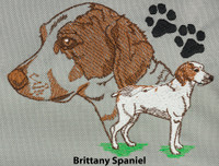 Brittany Spaniel