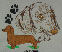 Dachshund