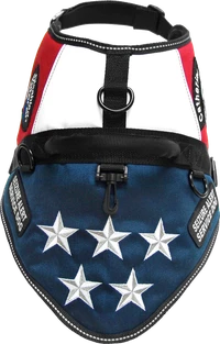 Service and Therapy Dog Vest