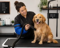 Professional dog groomer arm sleeves