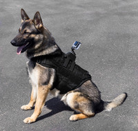 CaliberDog dog camera mount made in USA