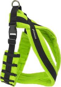 EEZWALKER Harness