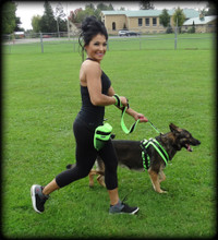 Durable fleece dog harness for agility and scent work training