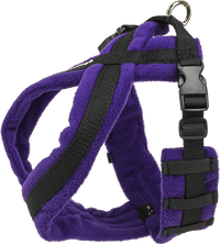 EEZWALKER Harness