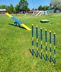 Agility In-ground Weave Poles 36"