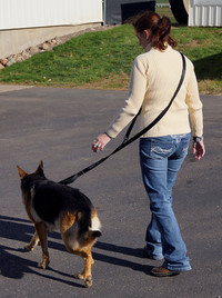 Hands Free Molded Handle Dog Leash