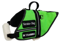 Service Dog vest with storage for medical supplies