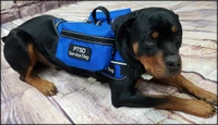 Service Dog vest with detachable storage bags