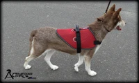 ActiveDogs breathable mesh Service Dog vest