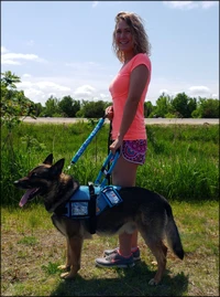 Mesh Service Dog Harness Vest with handle and ID pocket