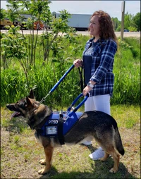 S&R style mesh Service Dog harness
