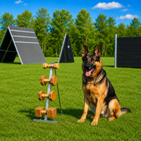 Aluminum rack for obedience schutzhund training dumbbells