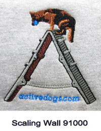 Embroidered Dumbbell & Scaling Wall Hoodie