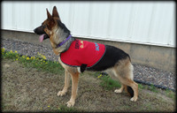 Service Dog Custom Do Not Distract Jacket/Vest