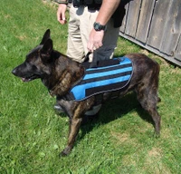 MOLLE dog harness with handle