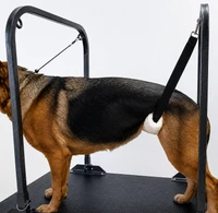 Grooming table support for dogs that have difficulty standing