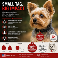 Small breed dog ID tag