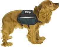 Service Dog vest with two zippered side pockets