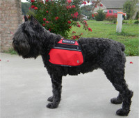 Butterfly Service Dog cape with adjustable straps