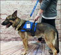 Service Dog Harness ID Pouch with Snap Attachment