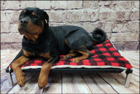 Elevated dog bed for indoor and outdoor use