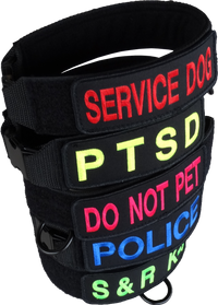 Custom Embroidered ID Patch Dog Collar