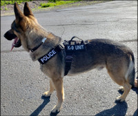 USA made tactical dog harness for working dogs