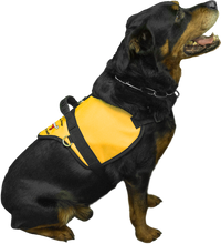Custom Logo Padded Dog Vest