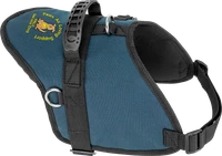 Personalized Service Dog vest with embroidered logo