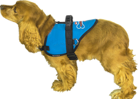 Custom Logo Padded Dog Vest